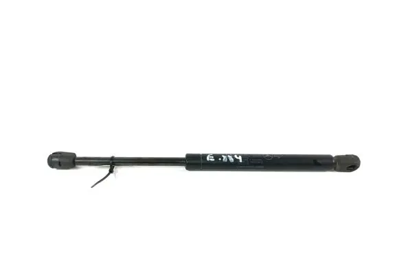 Tailgate strut