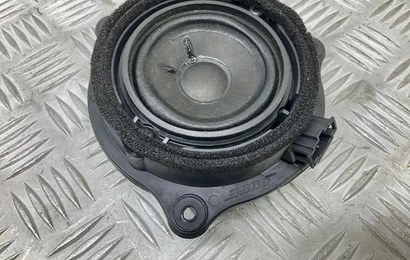 Front door speaker
