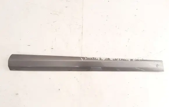 Renault Megane III Front door trim (molding) 
