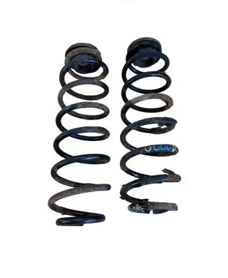 Rear coil spring