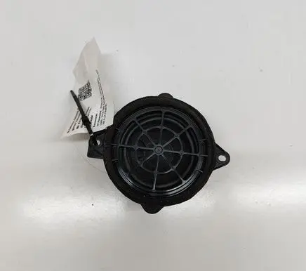 Rear door speaker
