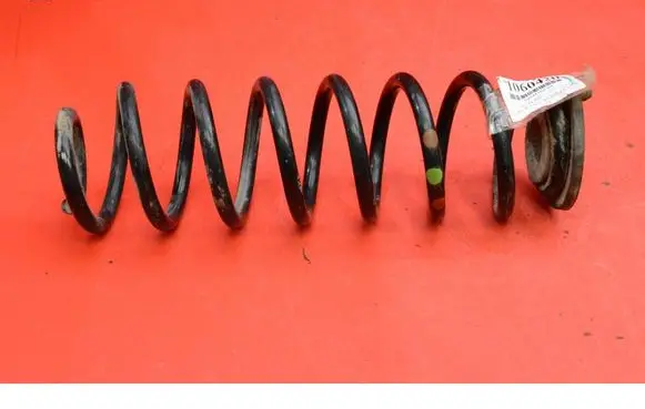 Skoda Yeti (5L) Rear coil spring 