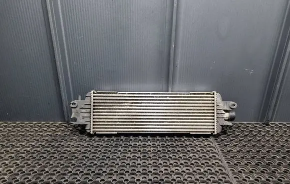 Renault Trafic II (X83) Intercooler radiator 8200218497 93850451 874869N