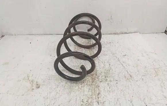 Front coil spring