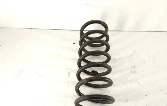 Rear coil spring