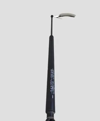Renault Koleos I Tailgate/trunk strut/damper 904505599R