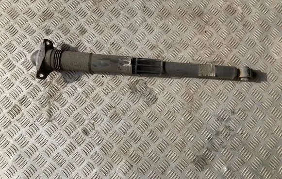 Volkswagen T-Roc Rear shock absorber/damper 5Q0513049