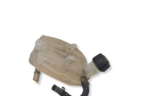 Renault Twingo II Coolant expansion tank/reservoir 8200369313
