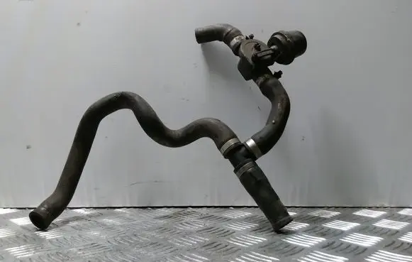 Volkswagen Crafter Engine coolant pipe/hose 701819809G