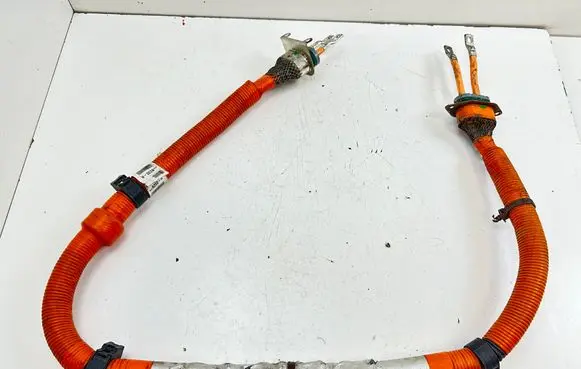 Other wiring loom