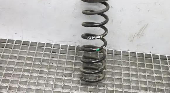 Ford Kuga II Rear coil spring