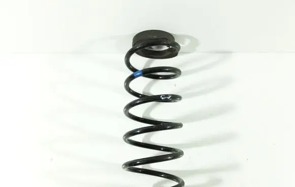 Rear coil spring