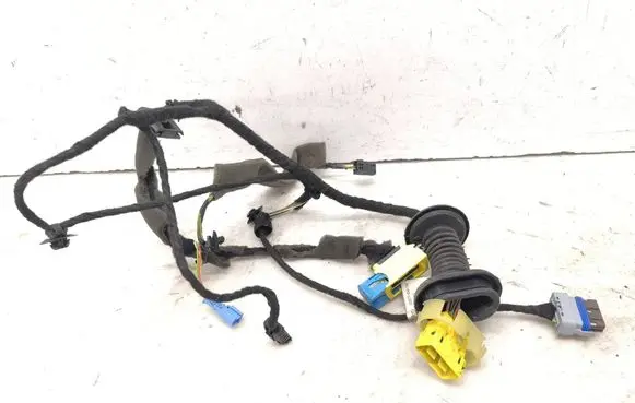 Front door wiring loom