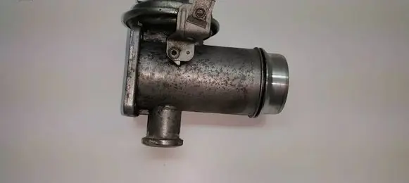 EGR valve