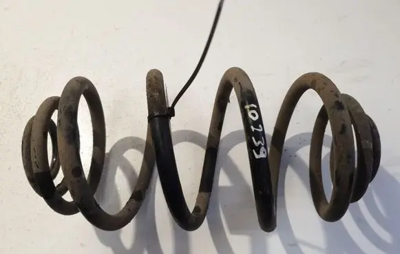Rear coil spring