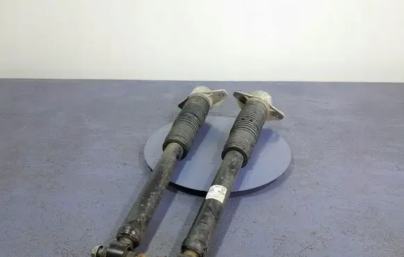 Hyundai Tucson IV NX4 Rear shock absorber/damper 55300N7000