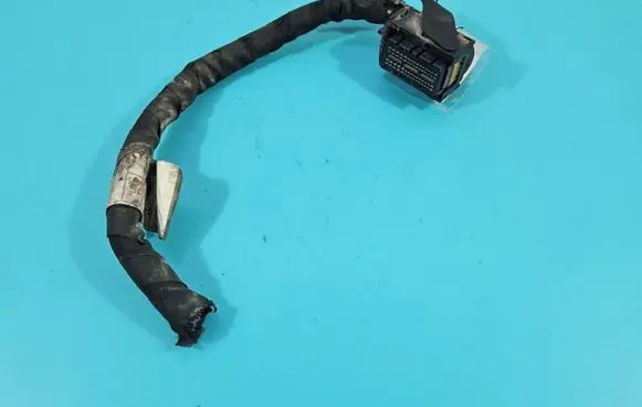 Fiat Linea Other wiring loom 00552479610 IMPRK1442090