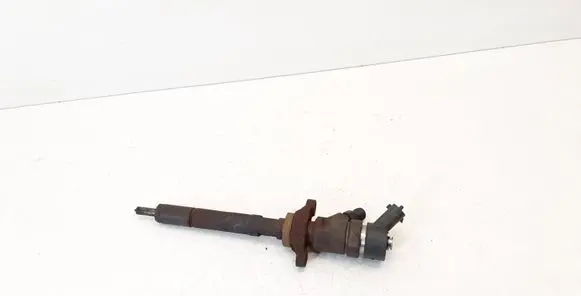 Citroen C4 I Fuel injector 0445110239
