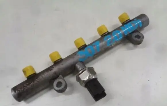 Peugeot 307 Fuel injector supply line/pipe 