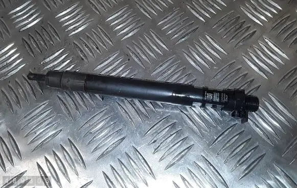Ford C-MAX II Fuel injector 9686191080