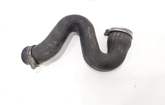 Volkswagen PASSAT B5 Engine coolant pipe/hose