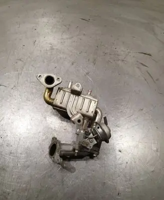 EGR valve