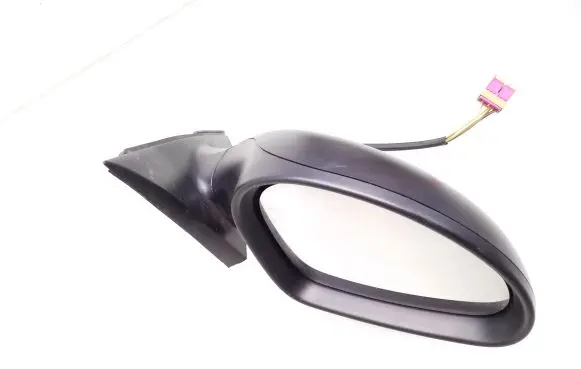Front door electric wing mirror