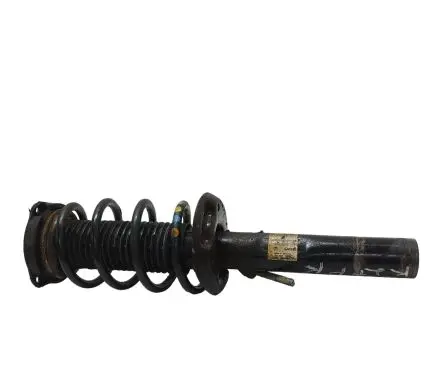 Volkswagen PASSAT B7 Front shock absorber with coil spring 3C0413031M VW461ZFV162 824904001777