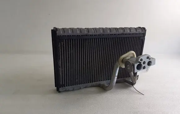 Porsche Panamera (970) Air conditioning (A/C) radiator (interior) 9020664 H7995005