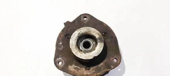 Coil spring mount