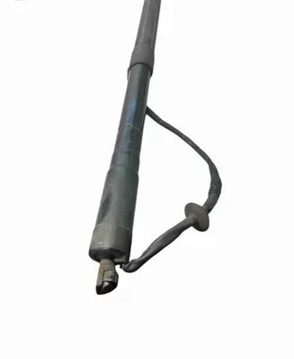 Volvo XC60 Tailgate/trunk strut/damper C20199104