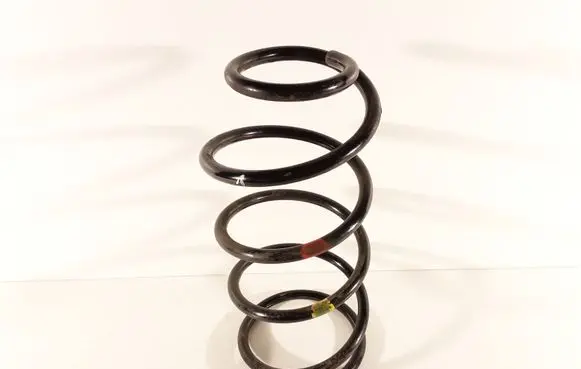 Front coil spring