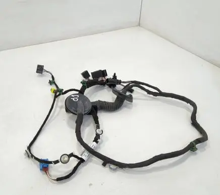 Seat Leon (5F) Front door wiring loom 5F4971030AE