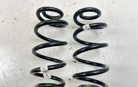 Rear coil spring