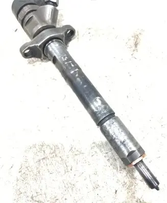 Citroen Berlingo Fuel injector 0445110259