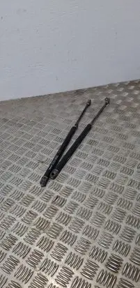 Tailgate/trunk strut/damper