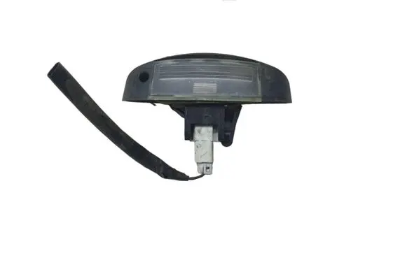 Fiat Ducato Number plate light 1303499070