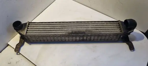 Volkswagen Sharan Intercooler radiator 7M3145805