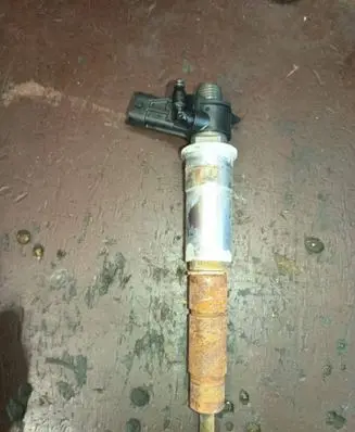 Renault Latitude (L70) Fuel injector 0445115084