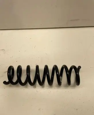 Rear coil spring