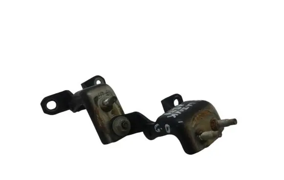Suzuki Alto Rear door hinge set 
