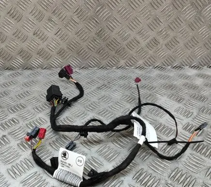 Skoda Enyaq iV Other wiring loom 5LB971100J