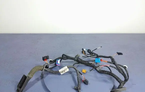 Other wiring loom