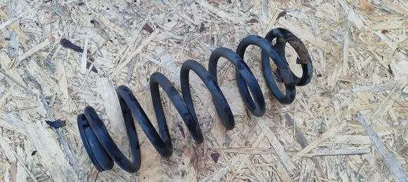 Rear coil spring