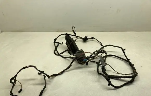 BMW i3 Rear door wiring loom 9240898 6546171 EGB55Z