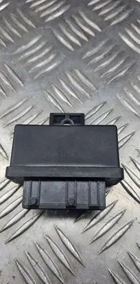 Peugeot 307 Fuel injection pump control unit/module 240107