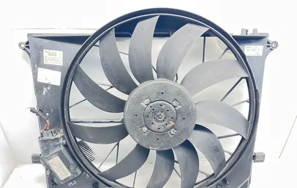 Mercedes-Benz S W220 Electric radiator cooling fan A2205000193