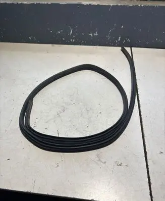 Dacia Spring Rear door rubber seal (on body) 