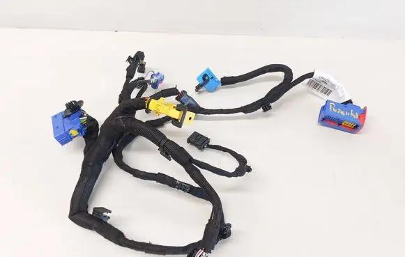 Other wiring loom
