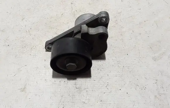 Renault Master III Timing belt/chain tensioner 117507568R